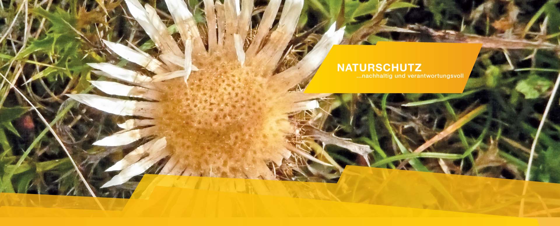 DRK Bergwacht Naturschutz